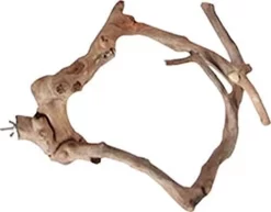 A&E Java Wood Multi-Branch Bird Perch - Extra Small