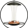 Audubon Contemporary Floating Sphere Hummingbird Feeder - 16 Oz Cap