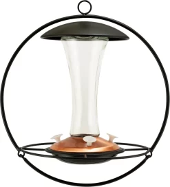 Audubon Contemporary Floating Sphere Hummingbird Feeder - 16 Oz Cap
