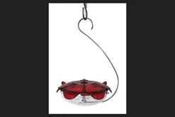 Droll Yankees Ruby Sipper Hanging Hummingbird Feeder - Red - 5 Oz Cap