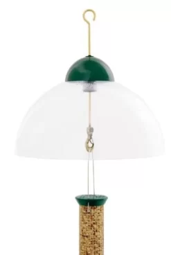 Droll Yankees Squirrel & Weather Guard Dome Wild Bird Accessories - Green - 15 In