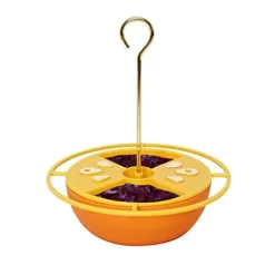 Heath Citrus Buffet Oriole Feeder - Orange - 6 Oz