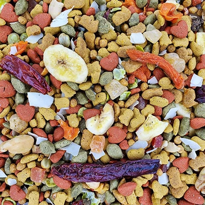 Higgins Intune Natural Harmony Parrot Bird Food - 3 Lbs - Image 3