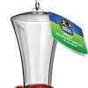 More Birds Bliss Plastic Hummingbird Feeder - Red - 13 Oz Cap