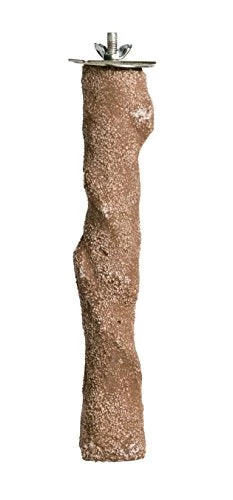 Prevue Hendryx Beach Branch - Large