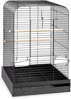 Prevue Hendryx The Madison Bird Cage - Black - 20" X 20" X 29"