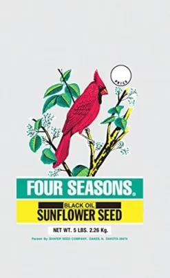 Shafer Black Oil Sunflower Sunflower Oil Wild Bird Food - 5 Lbs - 6 Pack