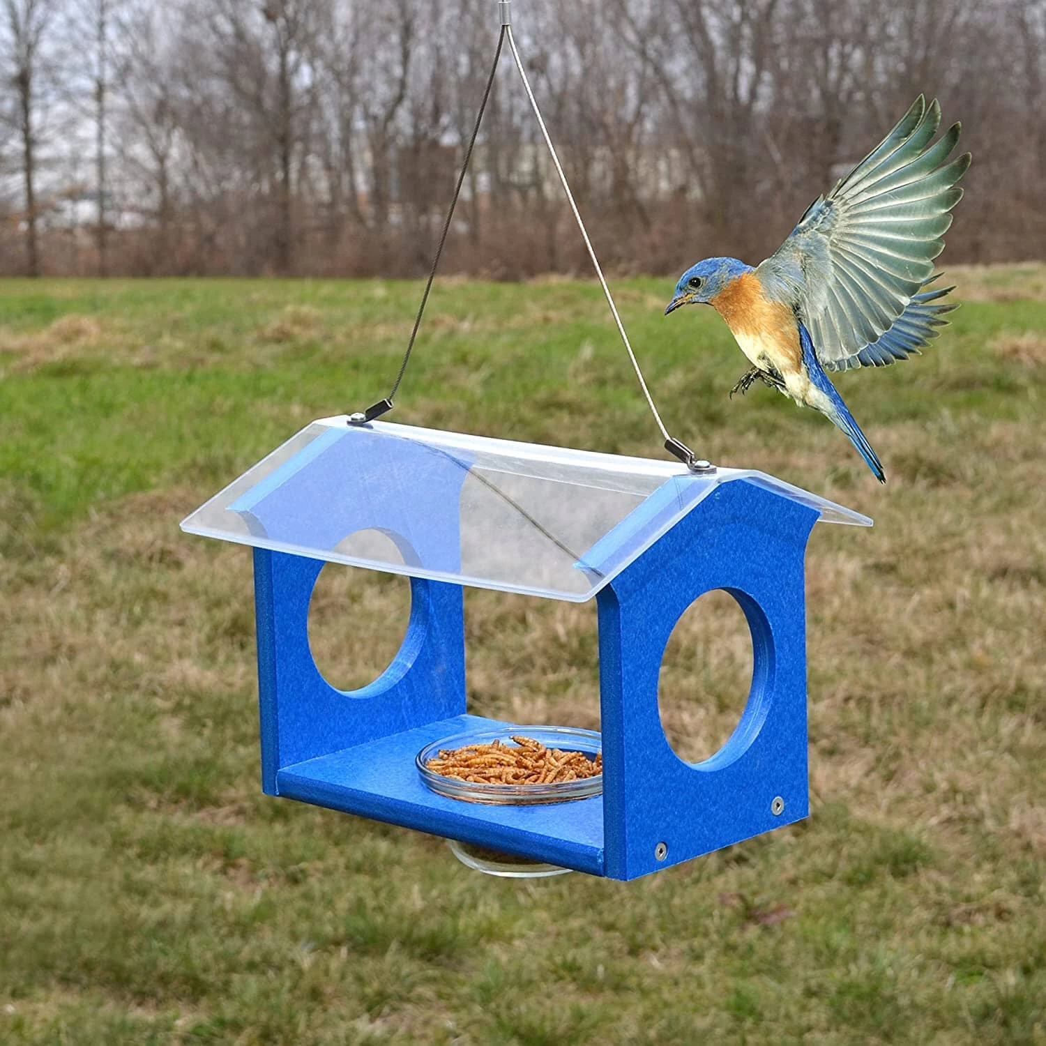 Songbird Essentials Bluebird Canteen Plastic Hopper Wild Bird Feeder - Blue - 7.5 X 10 X 17 In - Image 2