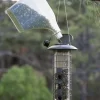 Squirrel-X4 Squirrel Resistant Tubed Wild Bird Feeder - Silver - 1.5 Lbs Cap